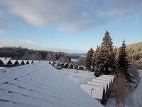IMG_20221119_081154 (800x600).jpg